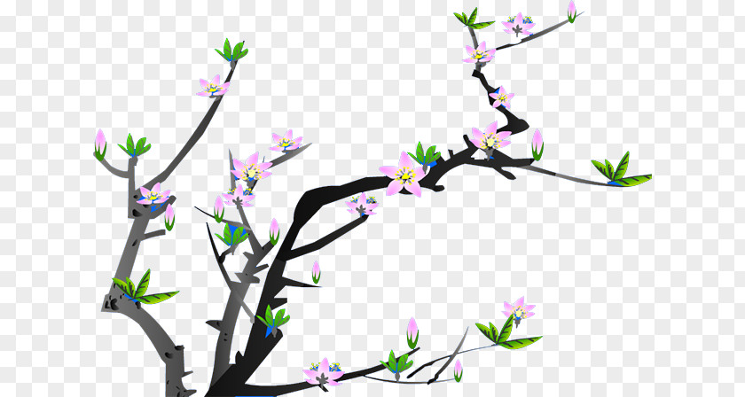 Plum Flower Animation Adobe Flash Player Blossom Software PNG