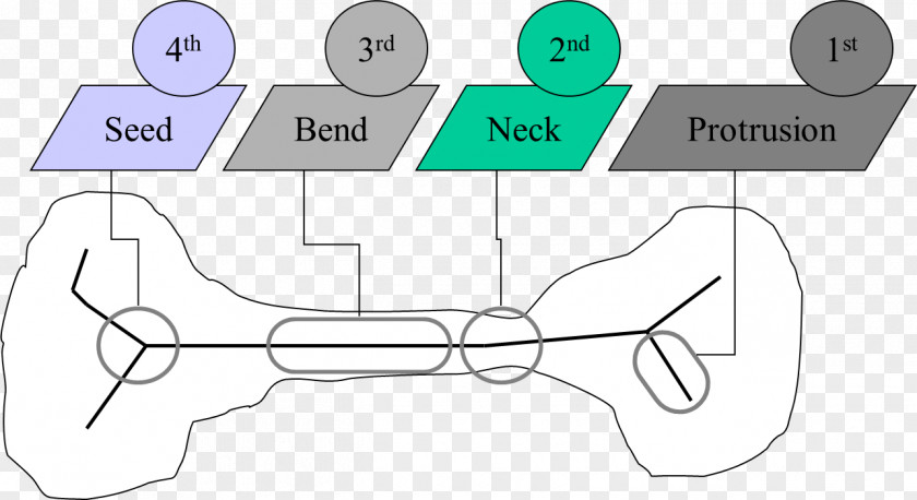 Shape Graph Of A Function Point Technology Paper PNG