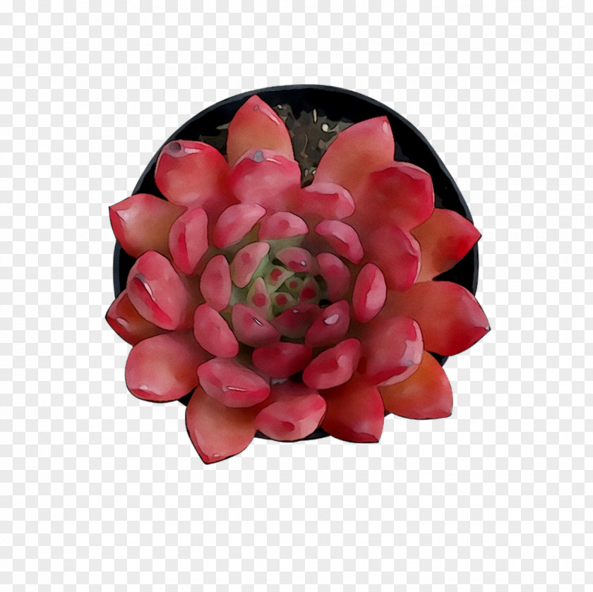 Cut Flowers Pink M PNG