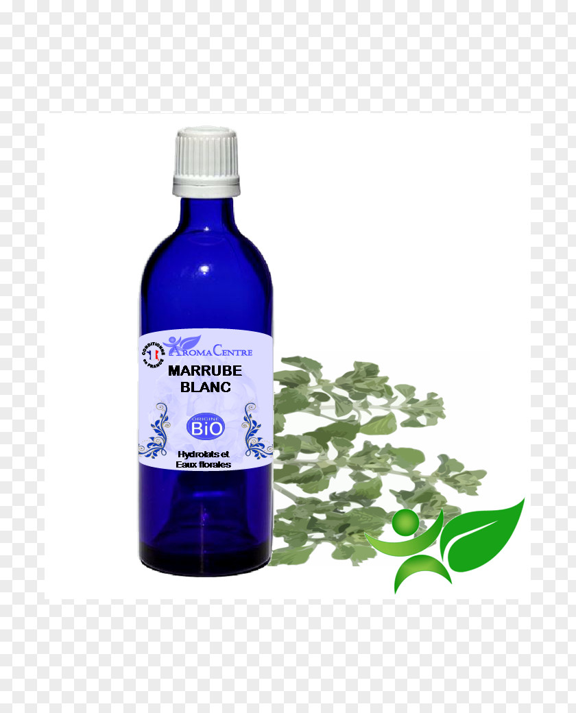 Illicium Verum Herbal Distillate Anise Essential Oil Aromatherapy Cinnamomum PNG