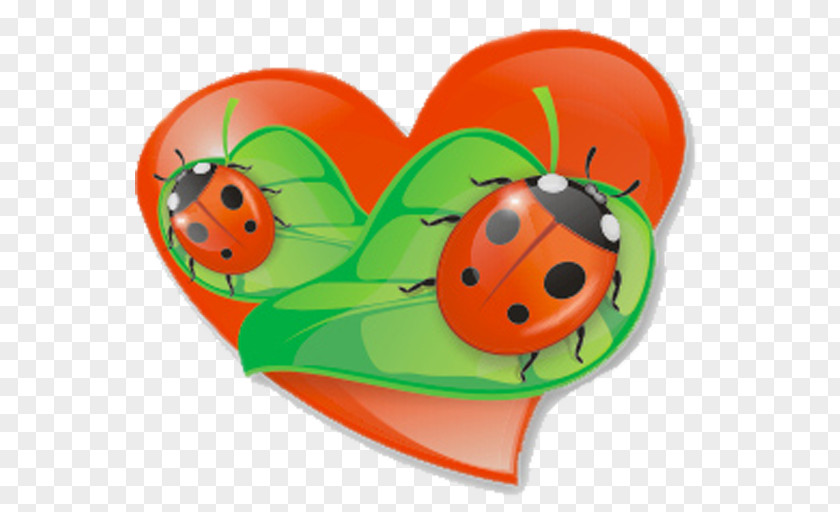 Ladybug Ladybird Insect Blog Clip Art PNG