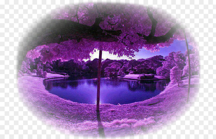 Purple Nature Landscape Violet Color PNG