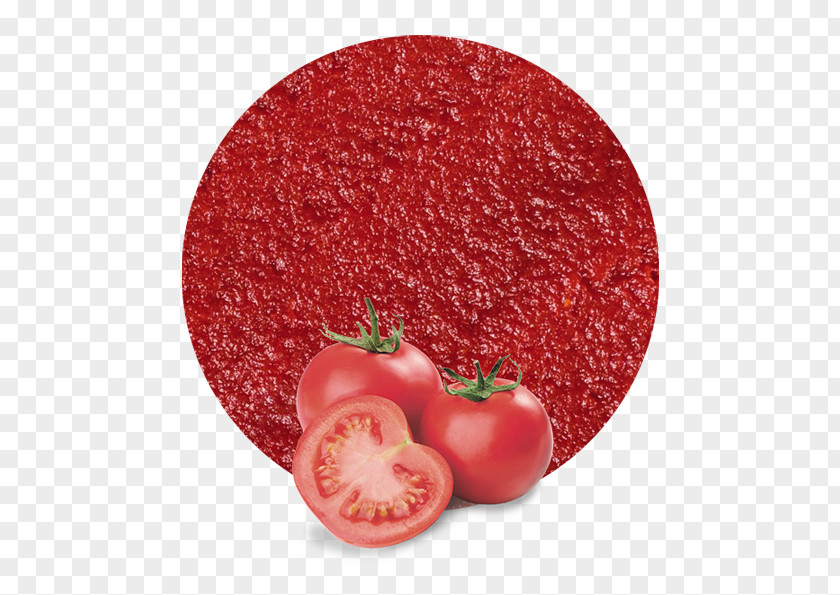Tomato Sauce Concentrate Apple Juice Vegetable PNG