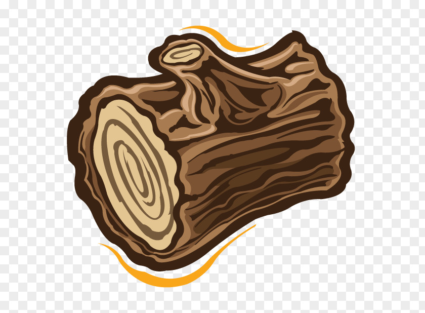 Tree Bark PNG