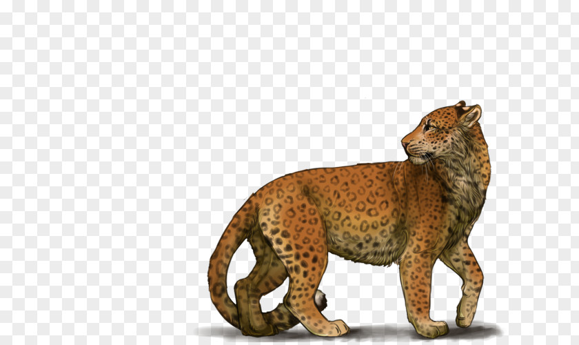 Cheetah Leopard Puma Terrestrial Animal Wildlife PNG