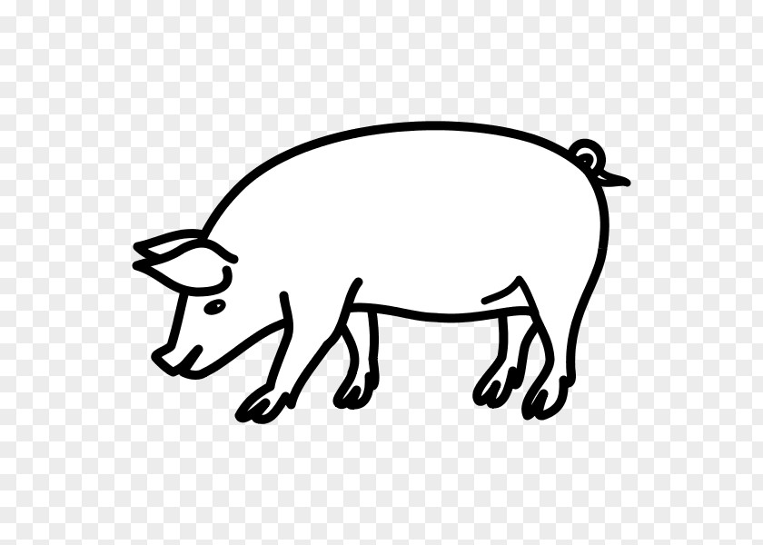 Circus Domestic Pig Drawing Line Art Clip PNG
