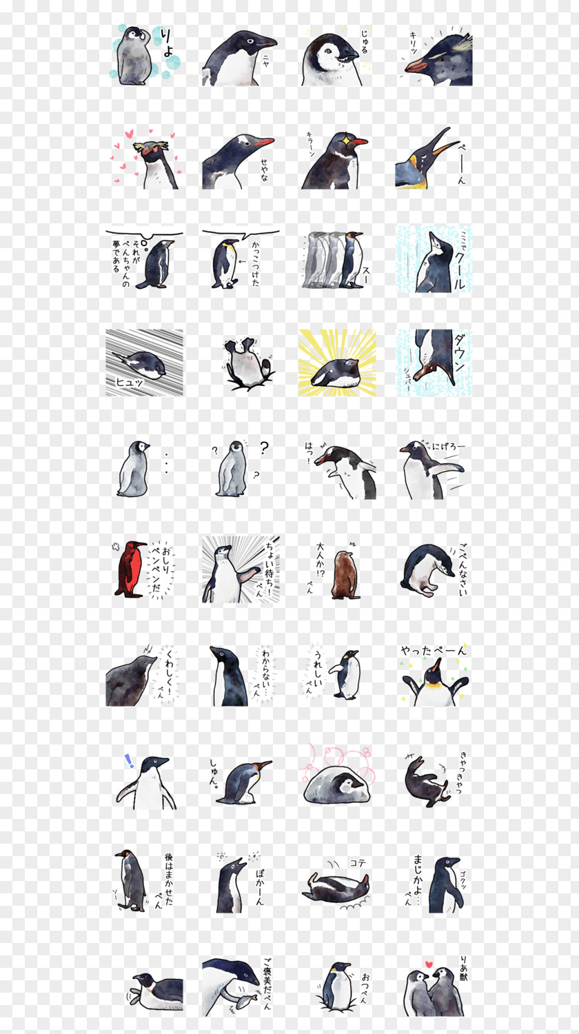Watercolour Line Clothing Accessories Fashion Font PNG