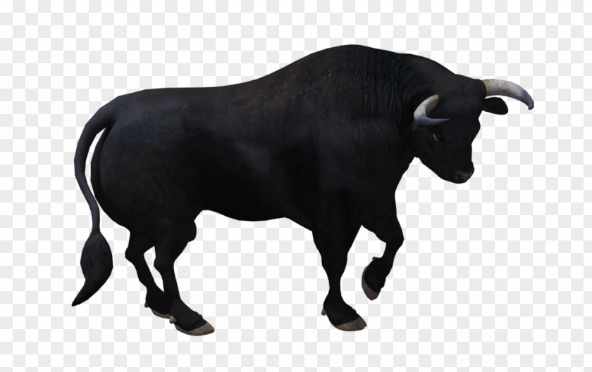 Bull Cattle PNG