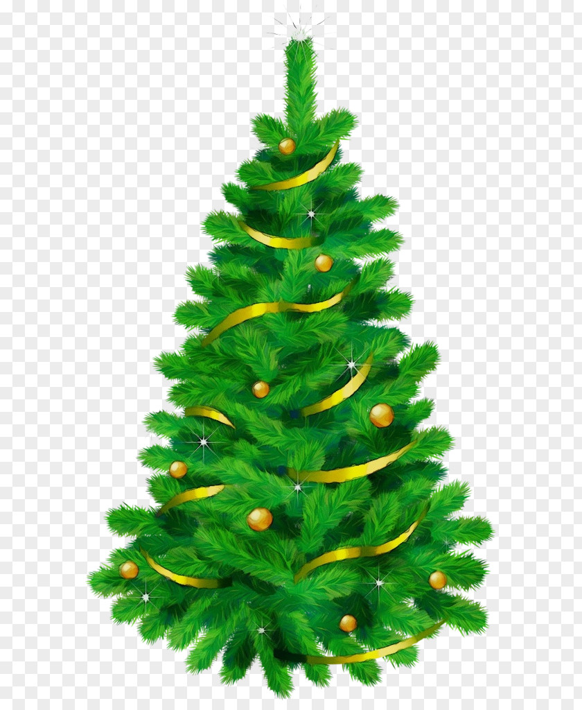Christmas Decoration Canadian Fir Tree PNG