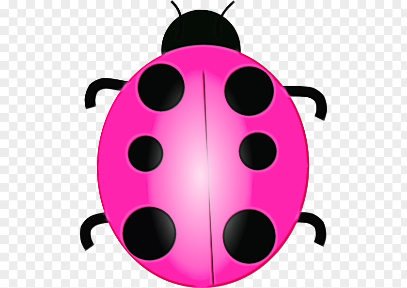Insect Magenta Ladybird PNG