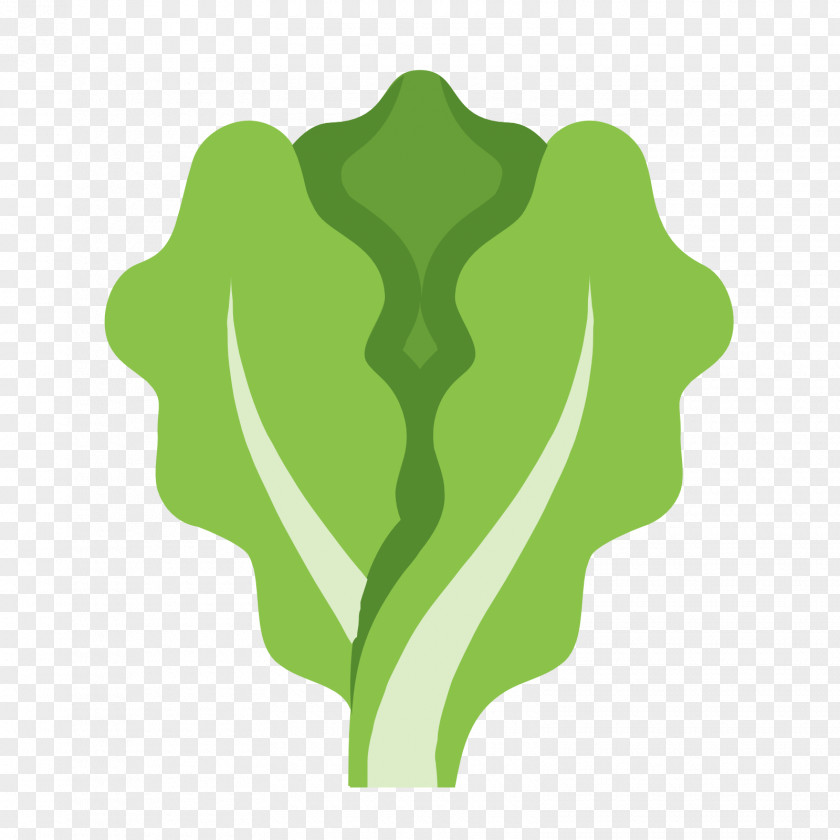 Lettuce Organic Food Hamburger PNG