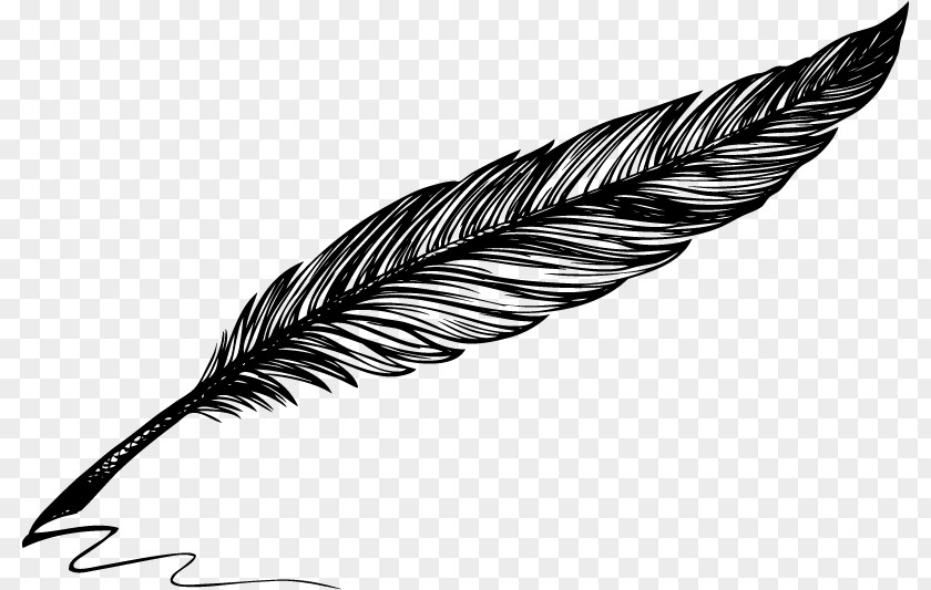 Pen Clipart Black And White Drawing Quill Vector Graphics Illustration PNG