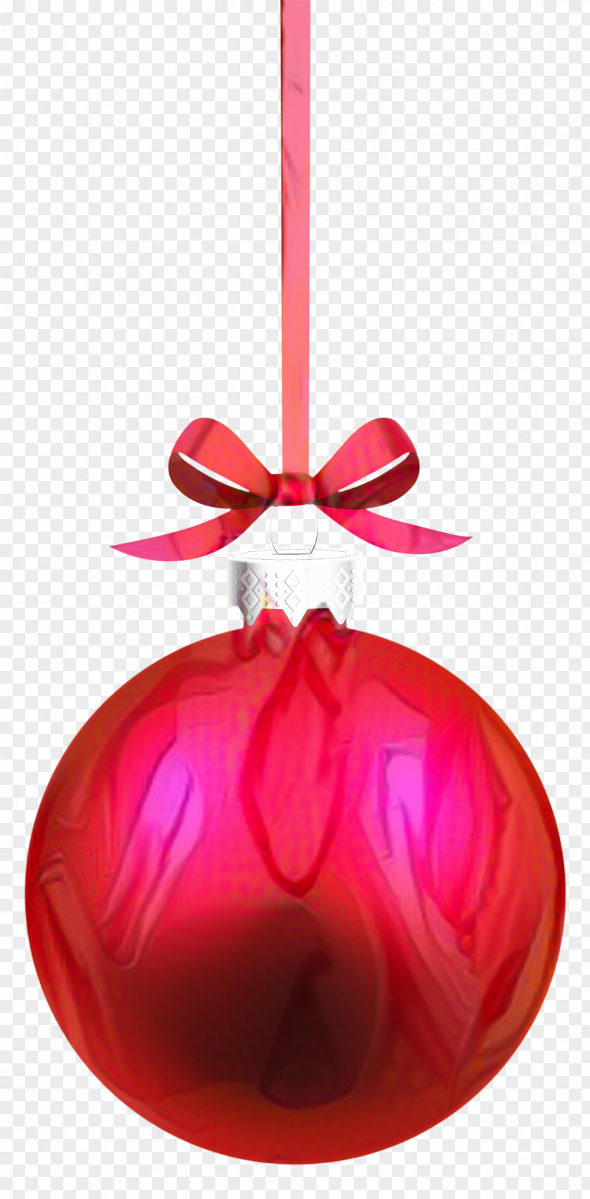 Plant Christmas Decoration Red Ribbon PNG