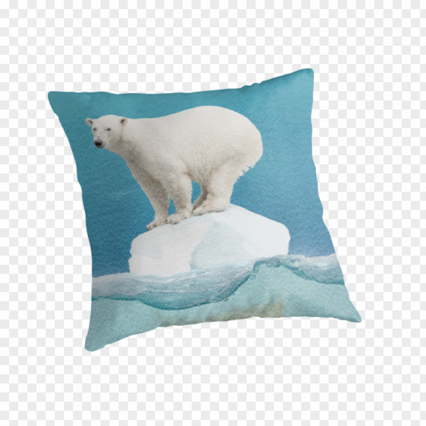 Polar Bear Throw Pillows Cushion PNG