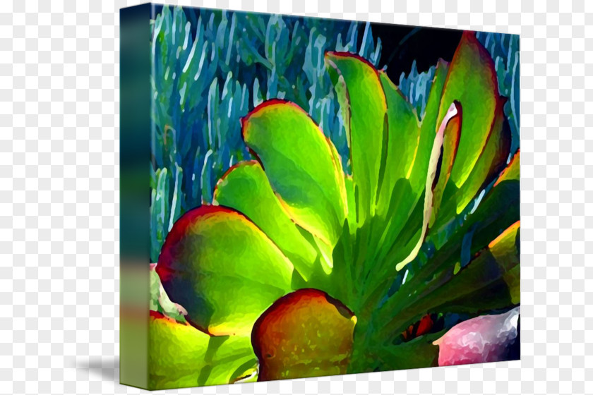 Succulent Border Current Gallery Painting Fine Art Plant PNG