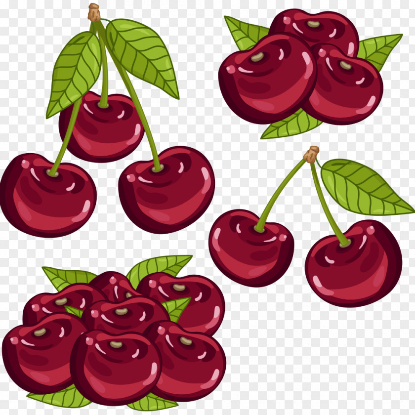 Vector Cherry Fruit Auglis Cartoon PNG