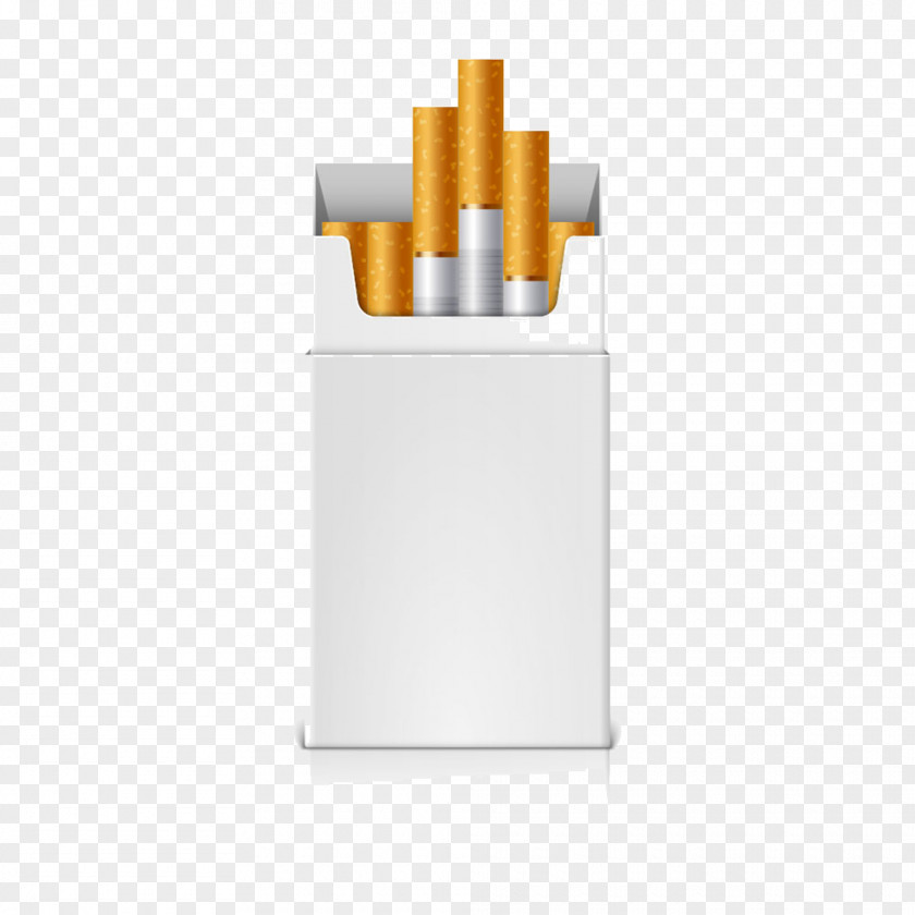 Cartoon White Cigarette Boxes Pack Case Tobacco Packaging Warning Messages Stock Illustration PNG