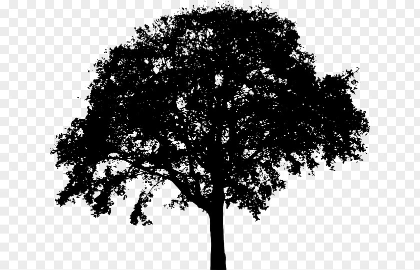 Iphone玫瑰金 Vector Tree Silhouette Royalty-free Clip Art PNG