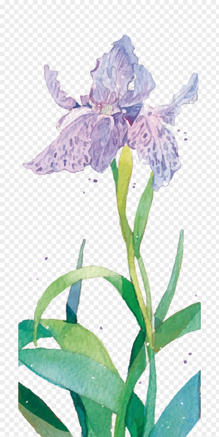 Purple Flowers Watercolor Painting Flower PNG