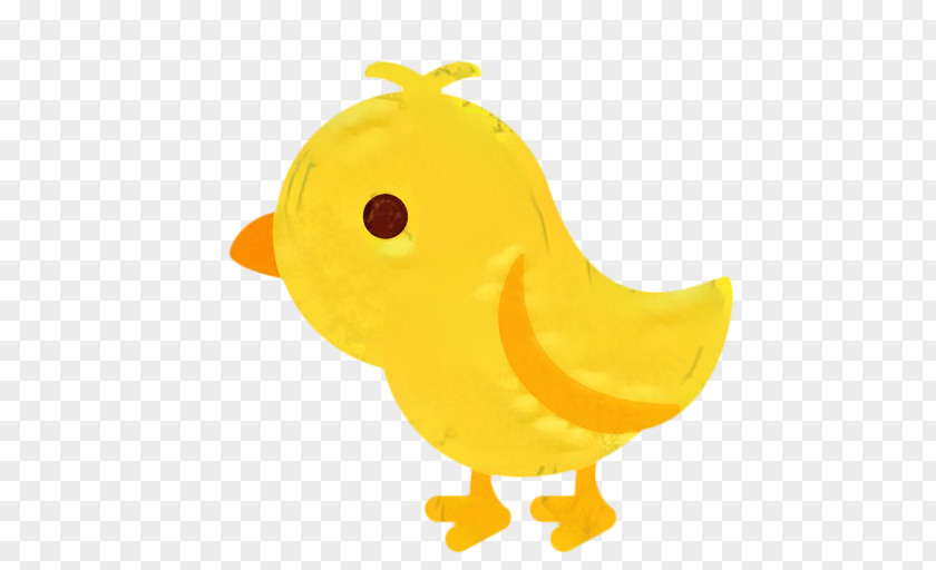 Rooster Ducks Geese And Swans Cartoon Baby Bird PNG
