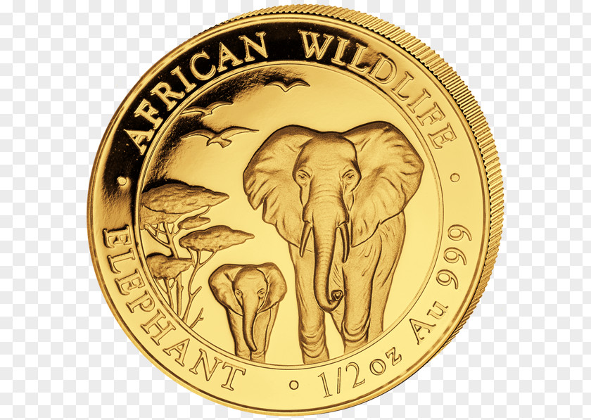 Coin South Africa Rand Refinery Krugerrand Gold Bullion PNG