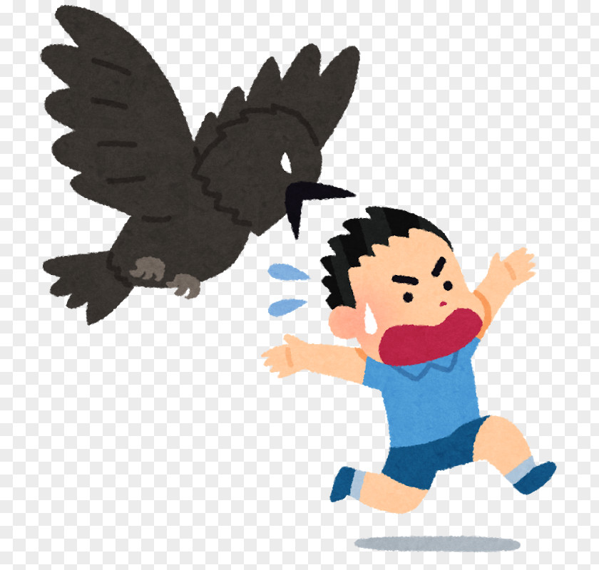 Crow Large-billed Person 行水 Ural Owl PNG
