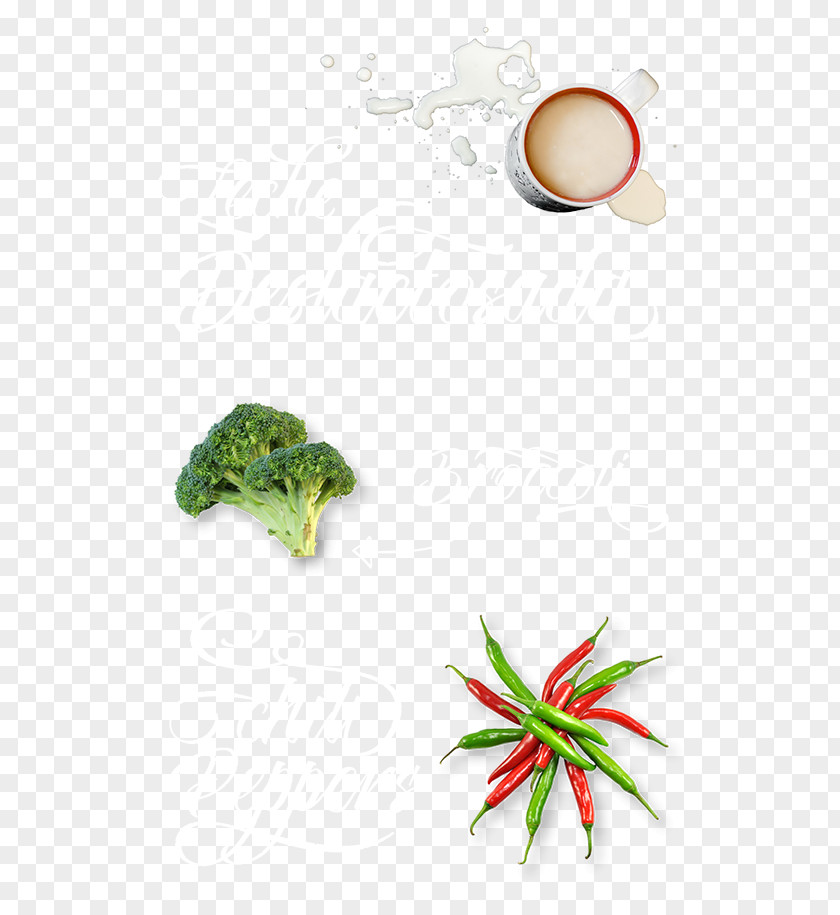 Leaf Flowerpot Broccoli PNG
