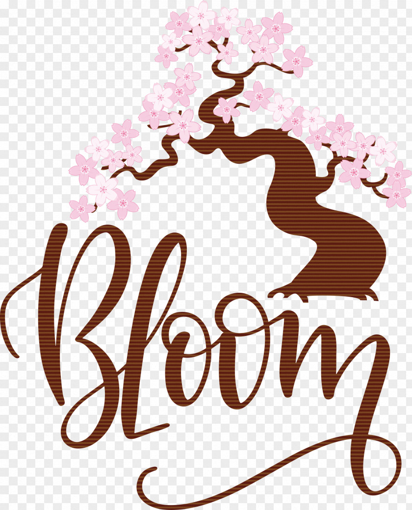 Bloom Spring PNG