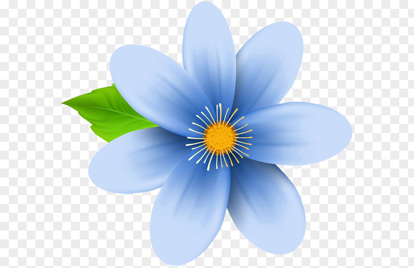 Blue Flower Desktop Wallpaper Clip Art PNG