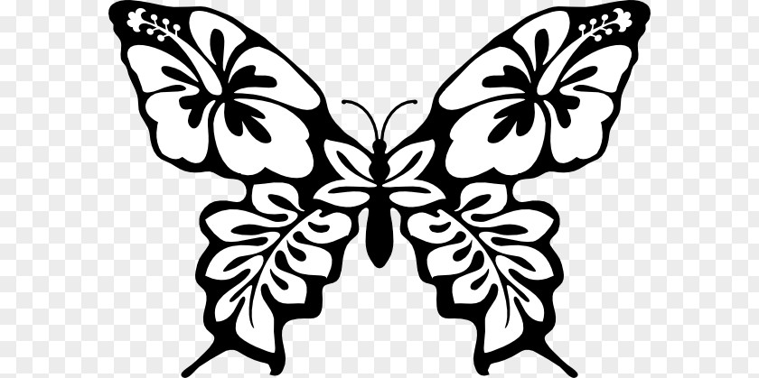 Ink Painting Lotus Full-Color Decorative Butterfly Illustrations Line Art Clip Vector Graphics PNG