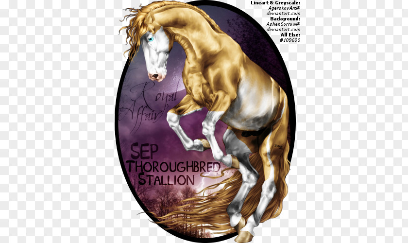 ROYAL HORSE Mane Stallion Mustang Mare Colt PNG