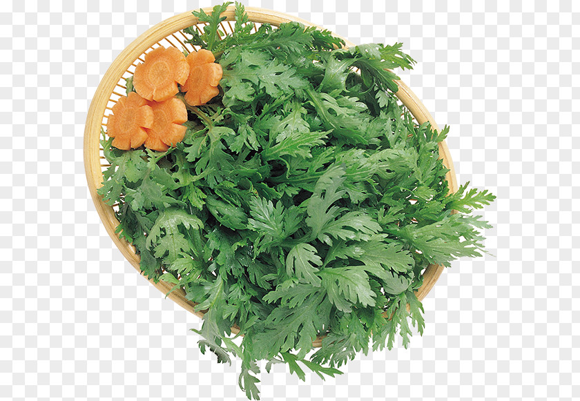 Vegetable Coriander Parsley Vegetarian Cuisine Herb Clip Art PNG