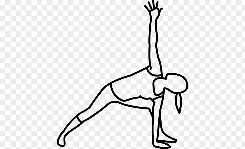 Yoga Stretching Exercise Pilates PNG