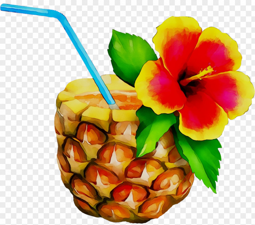 Guestbook GIF Pineapple PNG