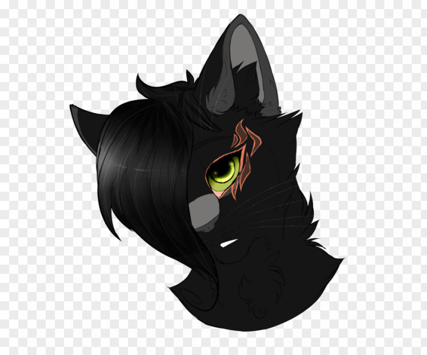 Cat Whiskers Horse Snout Cartoon PNG