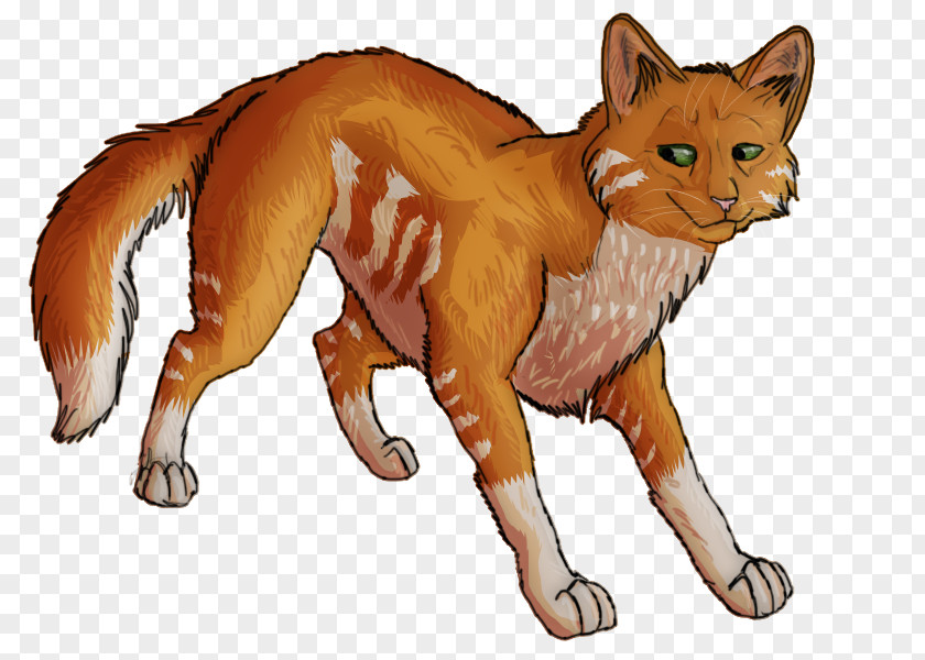 Cat Whiskers Red Fox Dhole Fauna PNG