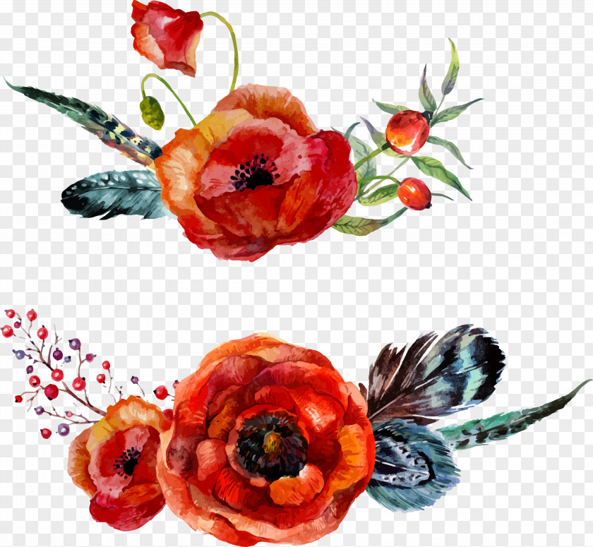 Drawing Vector Floral Feather Watercolour Flowers Poppy Watercolor Painting PNG