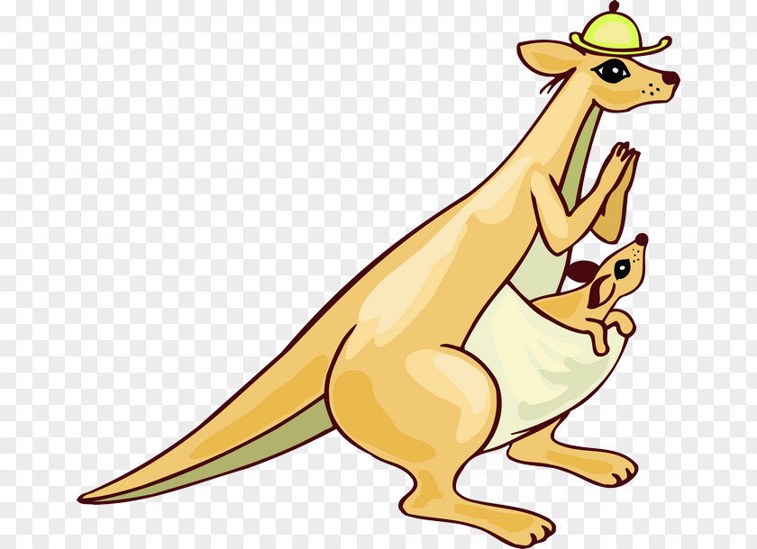 Kangaroo Mind Map PhotoScape Clip Art PNG