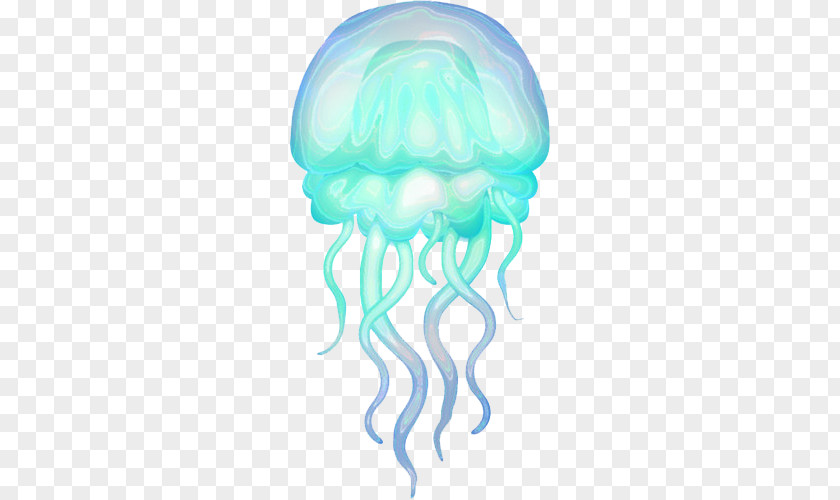 Medusa Jellyfish Drawing PNG