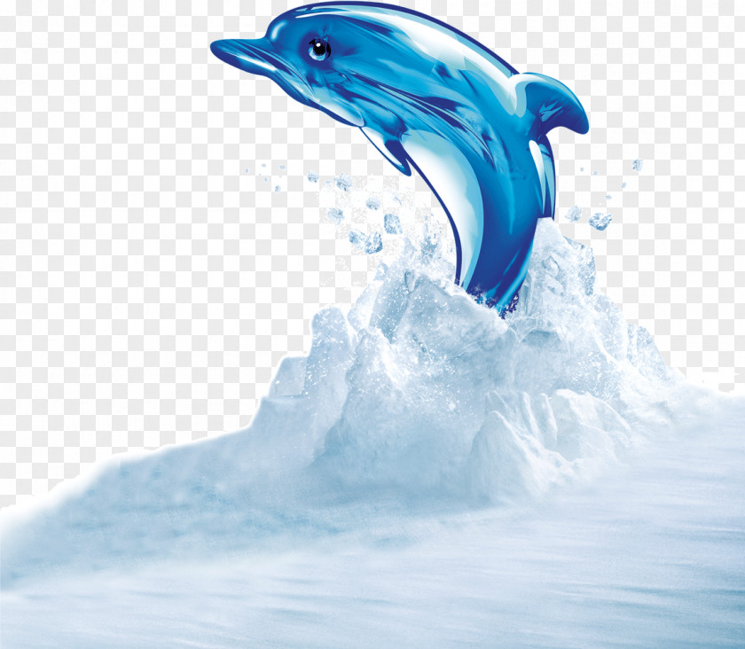 Shark Dolphin PNG