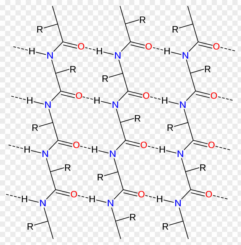 Beta Sheet Alpha Chemical Bond Peptide Protein PNG