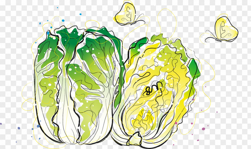 Cartoon Painted Fresh Cabbage Chinese Vegetable PNG