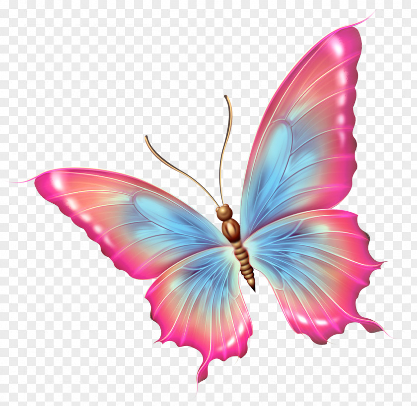 Dragonfly Butterfly Insect Clip Art PNG