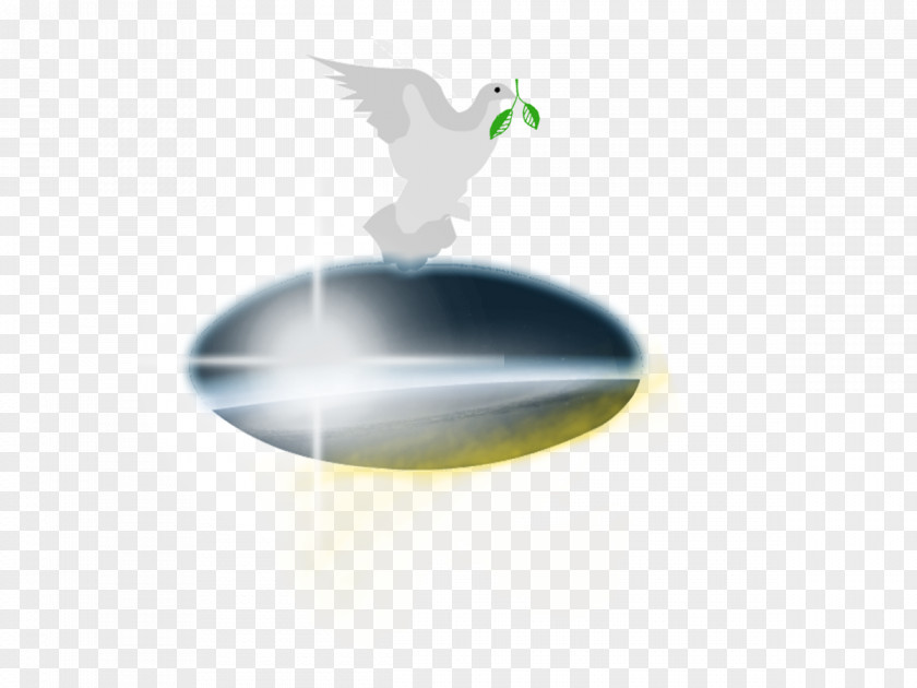 Peace Reconciliation Day Logo Desktop Wallpaper PNG