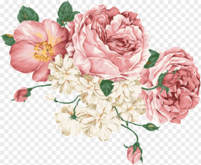 Peony Vector Graphics Clip Art Drawing Image PNG