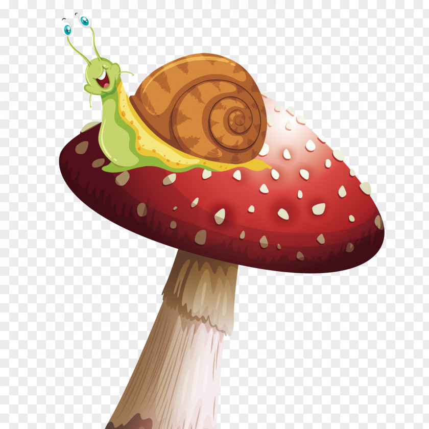 Vector Small Snail Euclidean Illustration PNG