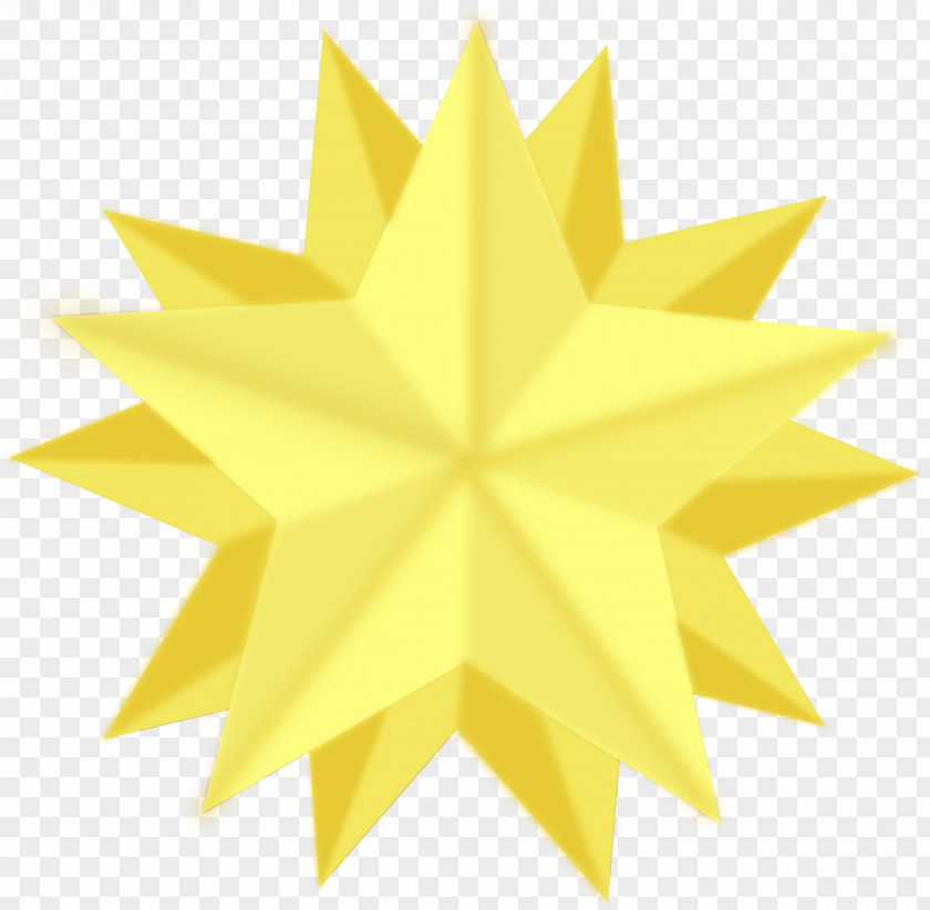 Yellow Plant Star Symmetry PNG