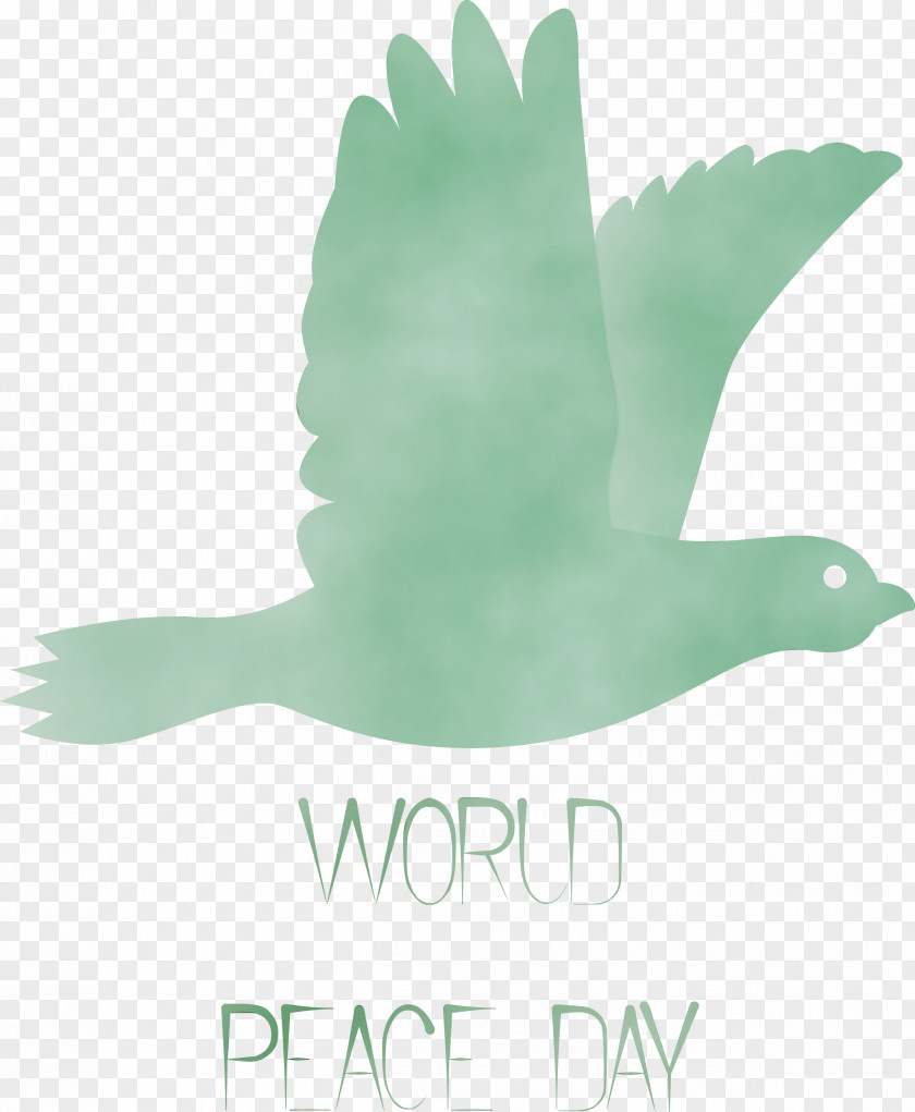 Birds Ducks Water Bird Beak Green PNG