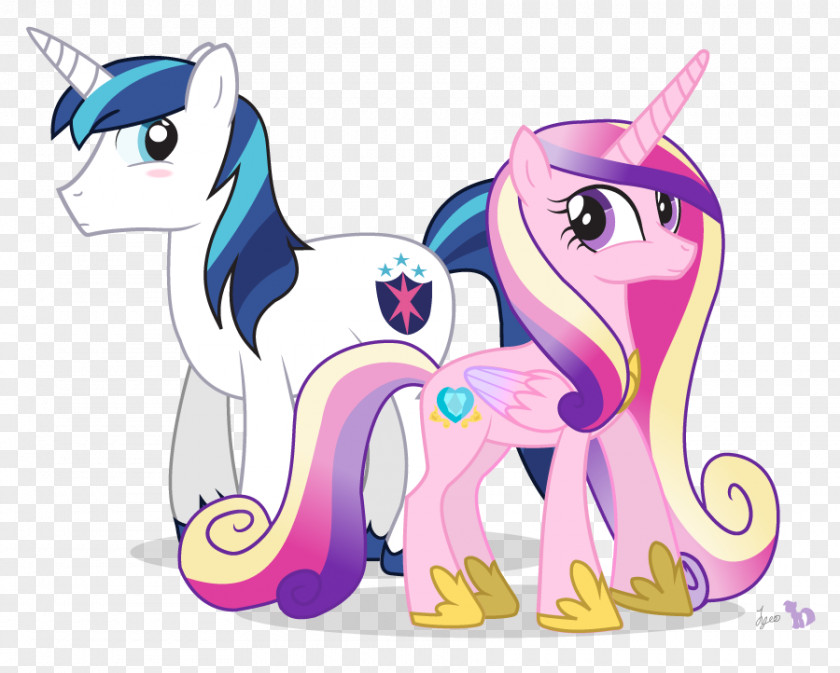 Equestria Girls Dolls Commercial My Little Pony: Friendship Is Magic Princess Cadance Shining Armor Rarity PNG