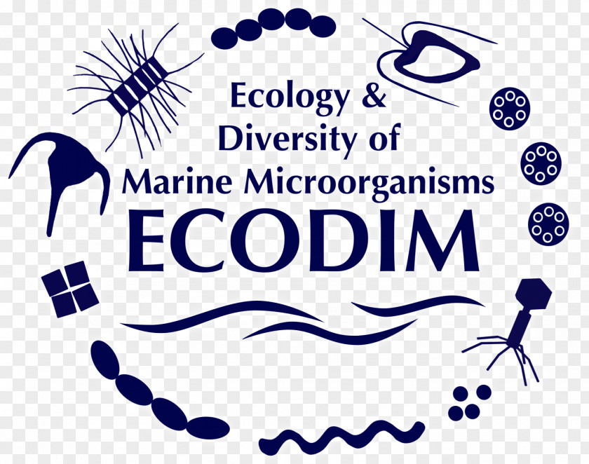 International Day For Biological Diversity Marine Microorganism Research Ecology PNG